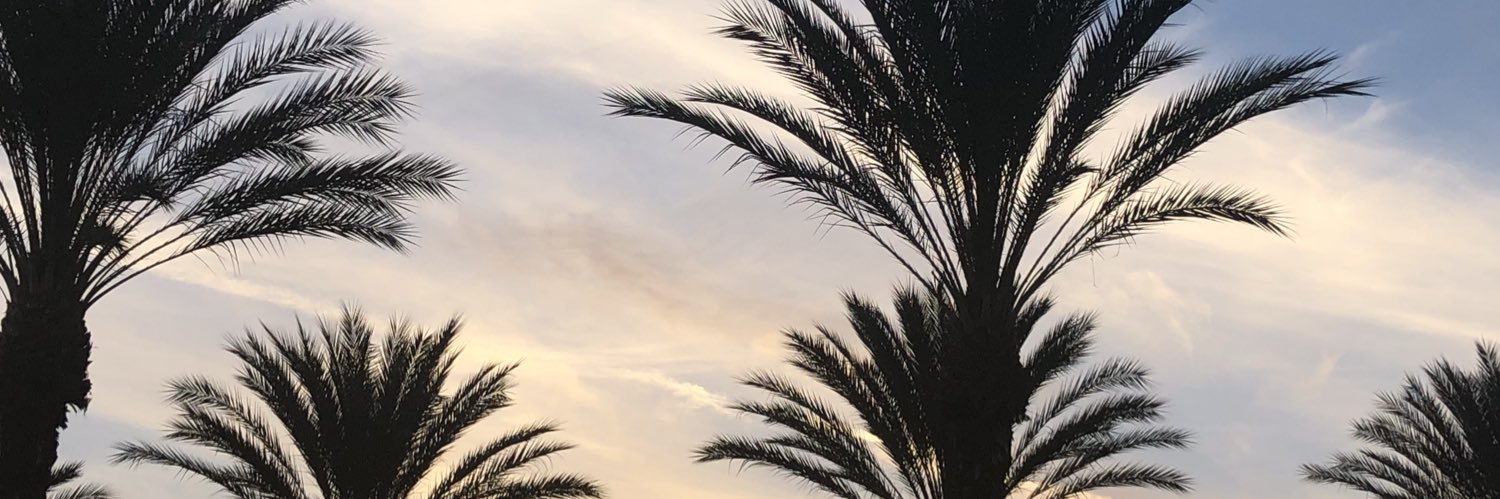 RebeccaFriedman's profile banner image