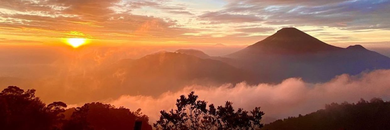 andinimarta's profile banner image