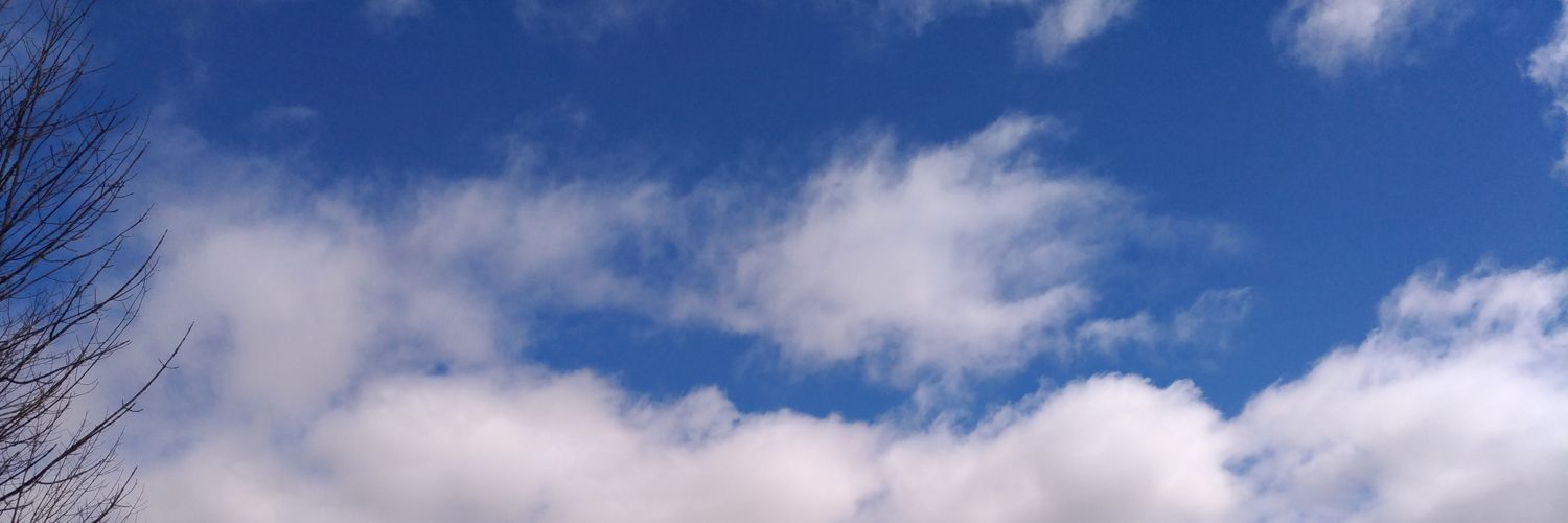 harry_boid's profile banner image