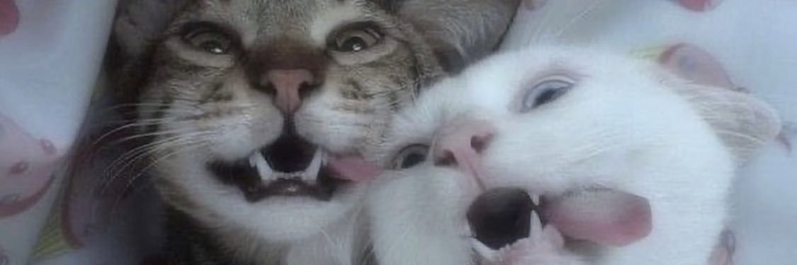 v banner