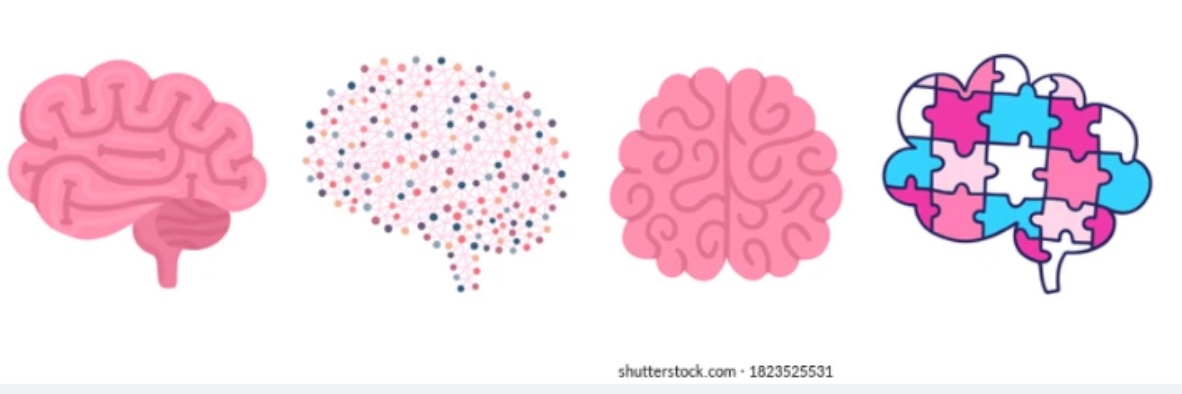 Ashlea H. MD, MS banner