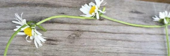 DebBris's profile banner image