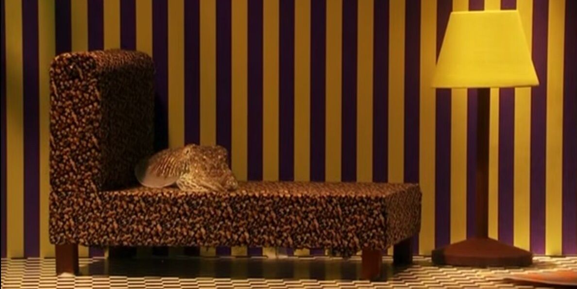 mondoke's profile banner image