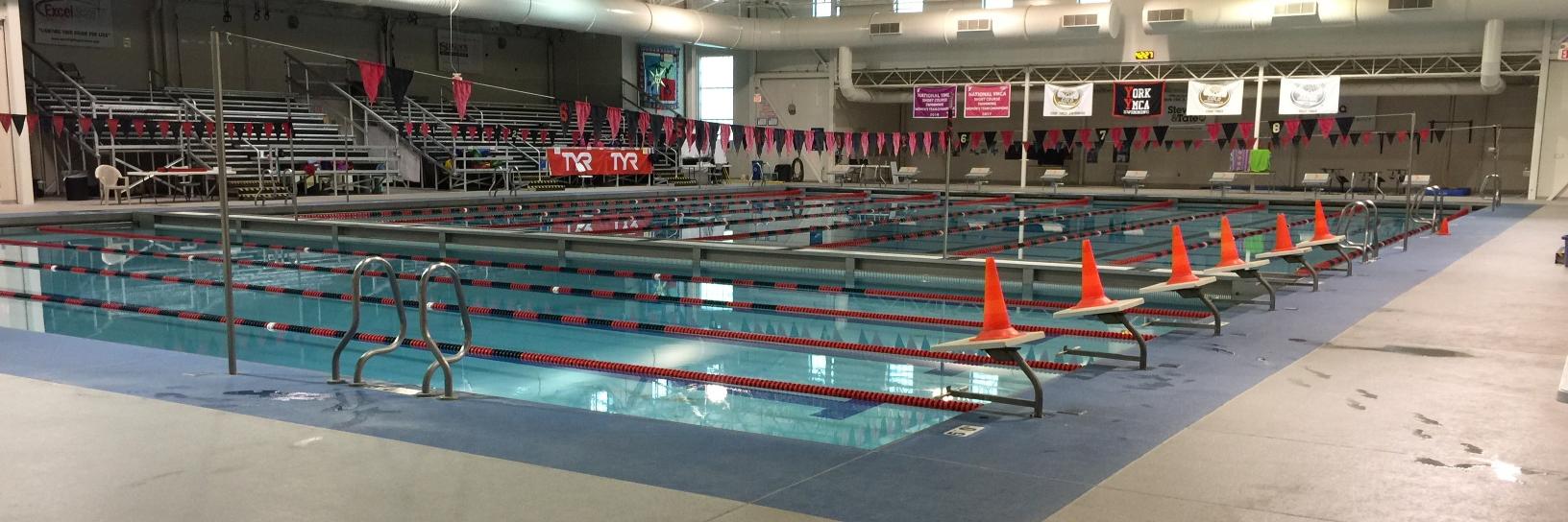 York YMCA Swimming banner