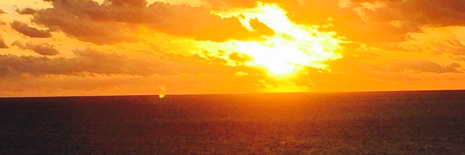 fiutede's profile banner image