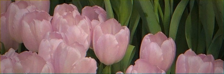 abc24561's profile banner image