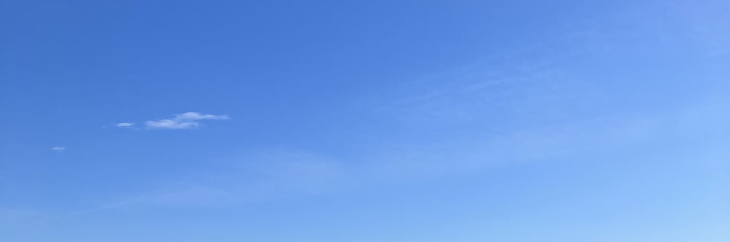 avochan0614's profile banner image