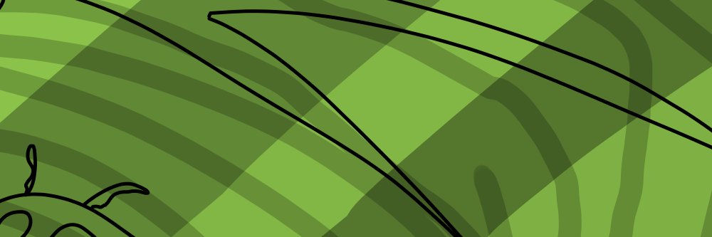 elcamp0's profile banner image