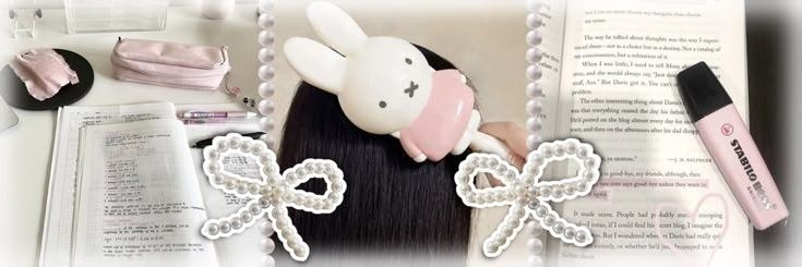 ꒰ naylaa´ ˘꒱ ੭ banner