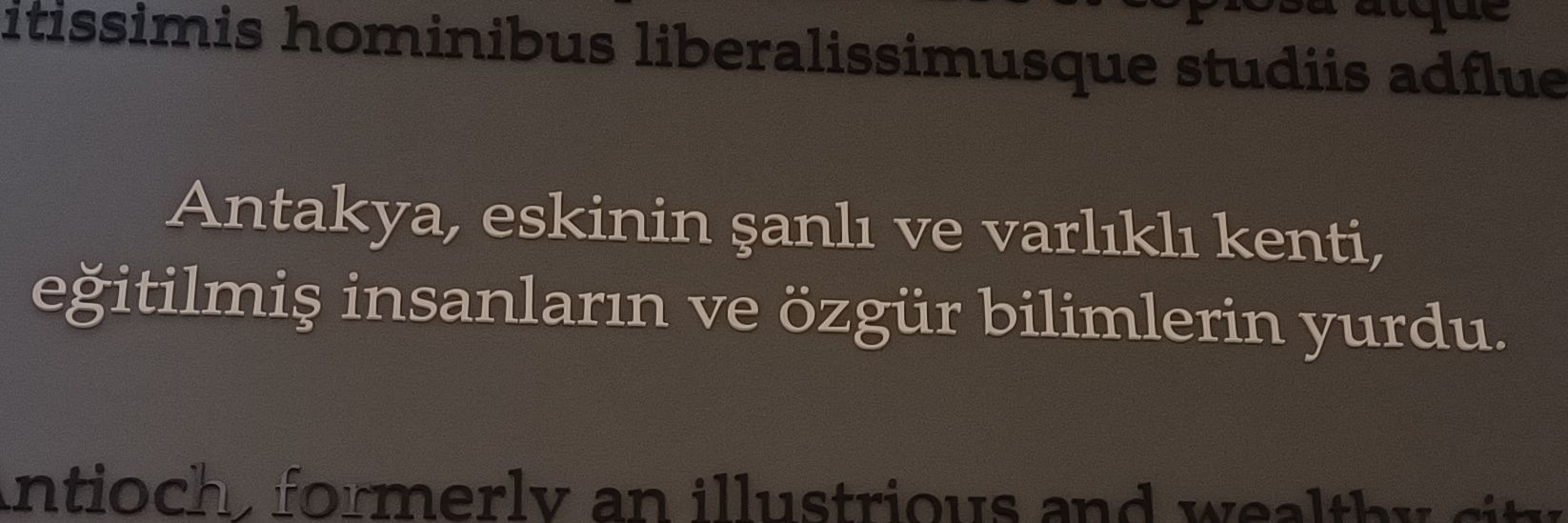 Eser banner