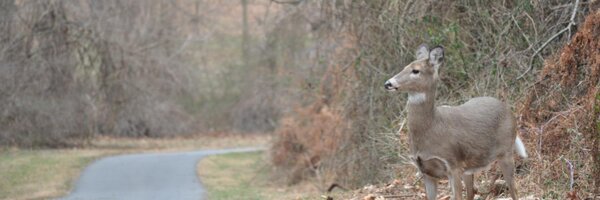 jstedfast Profile Banner