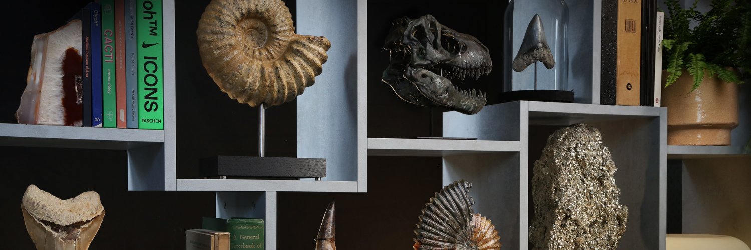 CuratedStudio banner