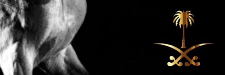 vip_67_'s profile banner image