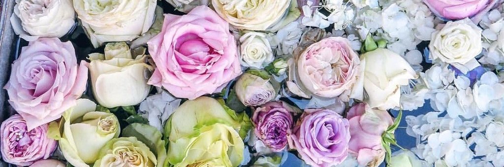 Glitter In My Eyes banner