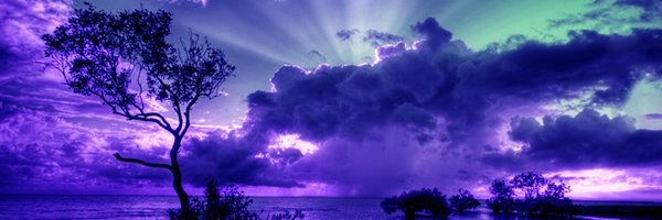 knmer Profile Banner