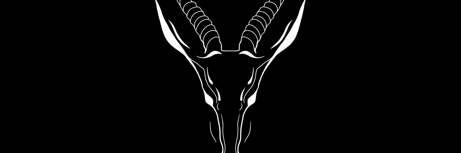 flyinggozel's profile banner image
