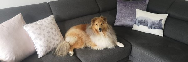 KatJayHart Profile Banner