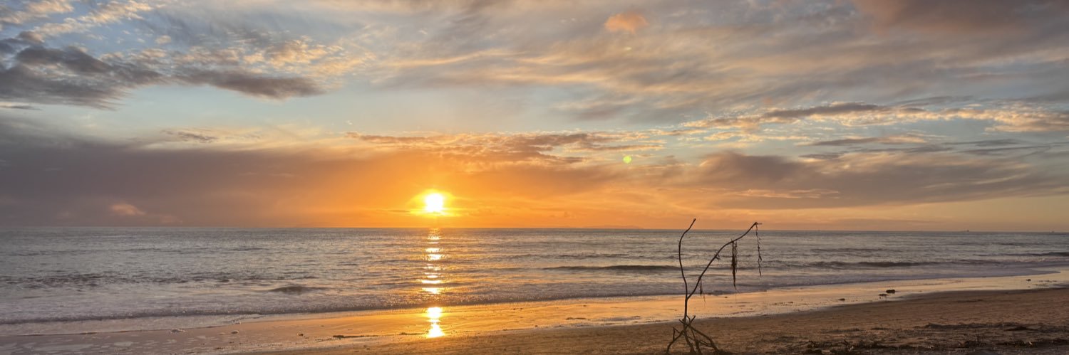 🇺🇸Anne🇺🇸 @Katsnbears banner