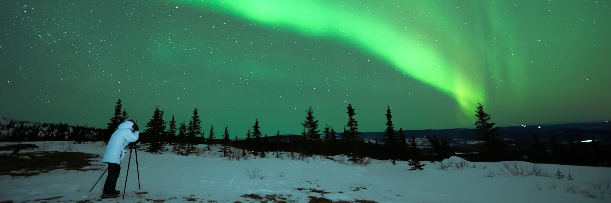 Nordic Experience banner