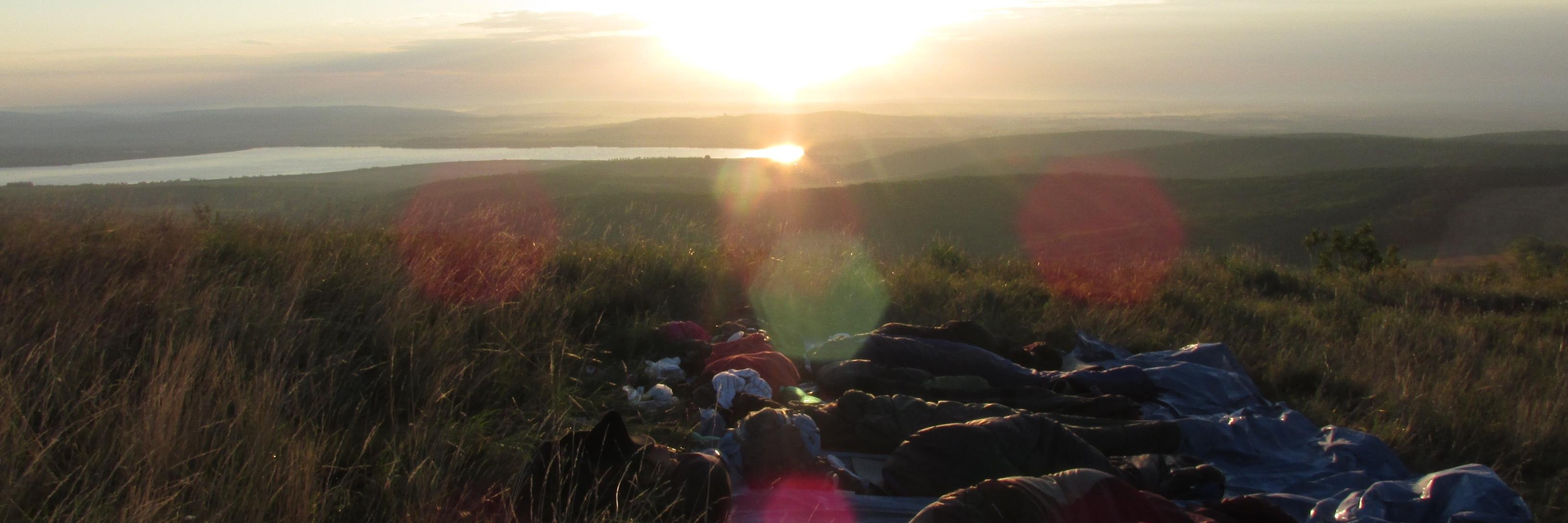 Tomáš Fejfar 🐘 banner