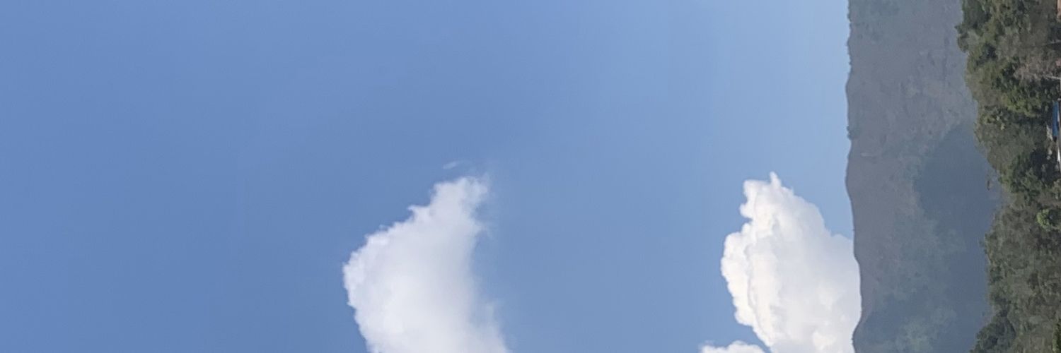 Ara banner