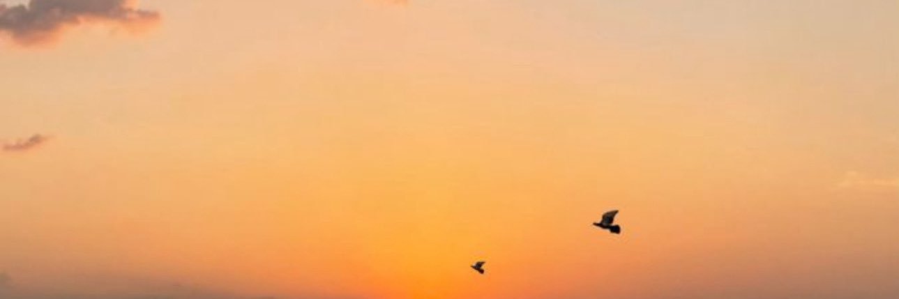 mars, banner