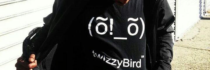 twizzyBirdfashn's profile banner image