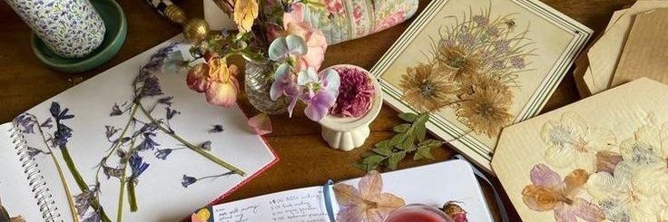 Gia²⁷ | #polsci banner