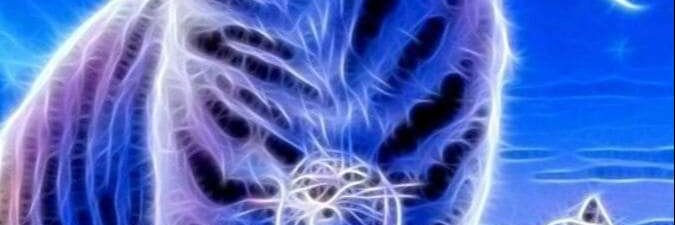 bagiabotui4237's profile banner image