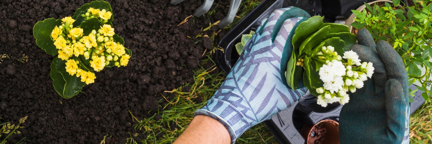 Green Space Skills Hub banner