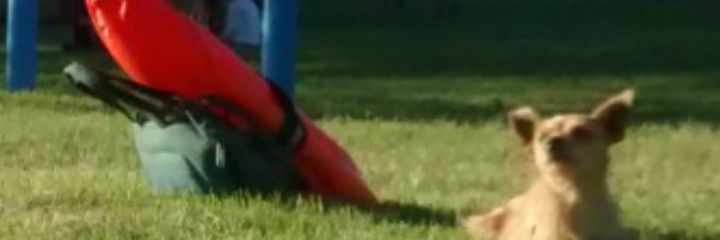 ManuGoy10's profile banner image