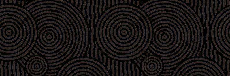 Sealios Spring banner