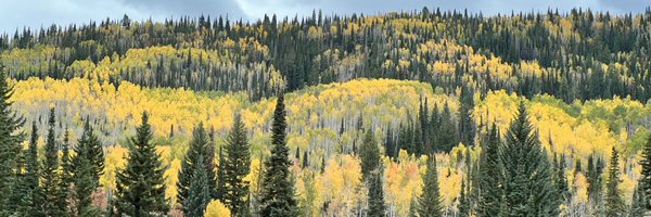 Matthew0Kennedy Profile Banner