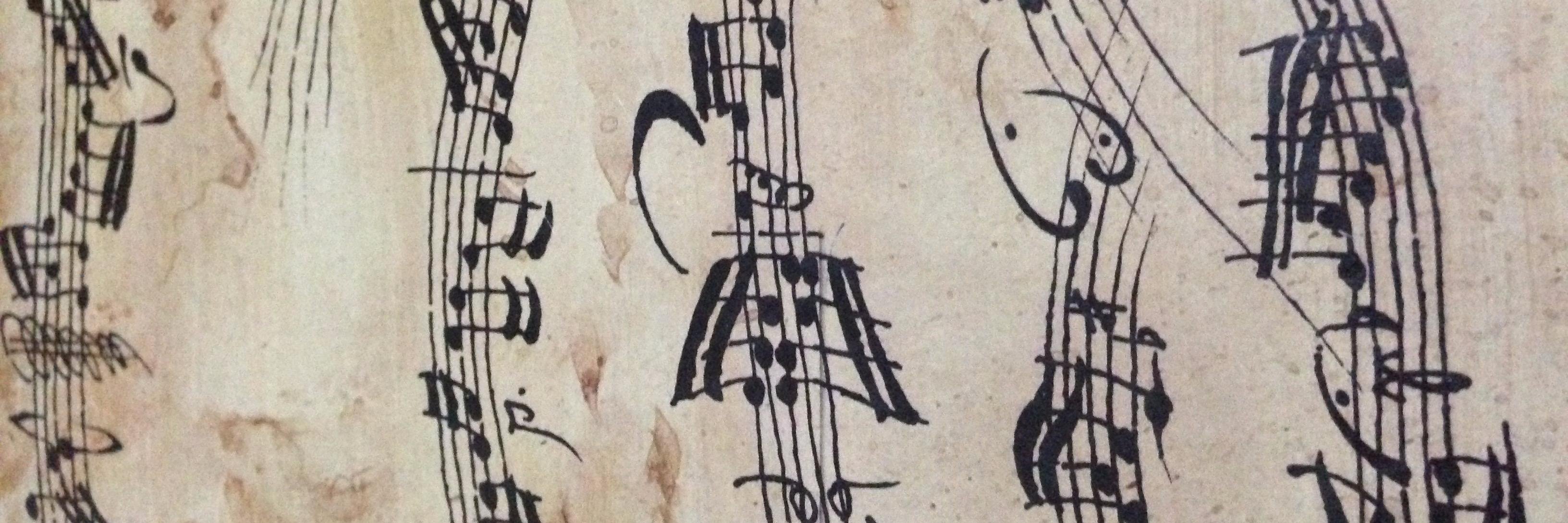 palomapb13's profile banner image