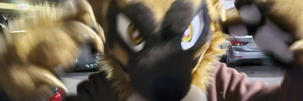 theforestshep Profile Banner