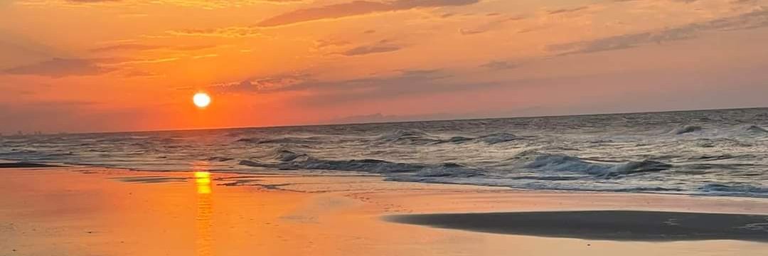 Elizabeth Ratliff banner