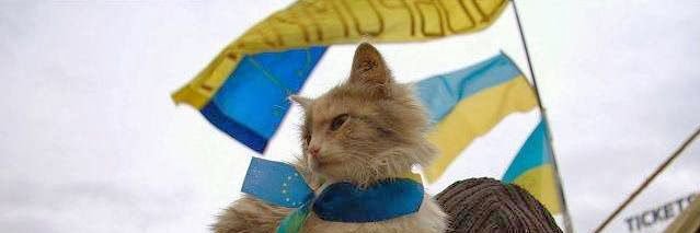🇺🇦sable227 🐈🐕🏴‍☠️🇺🇦 🌻 banner
