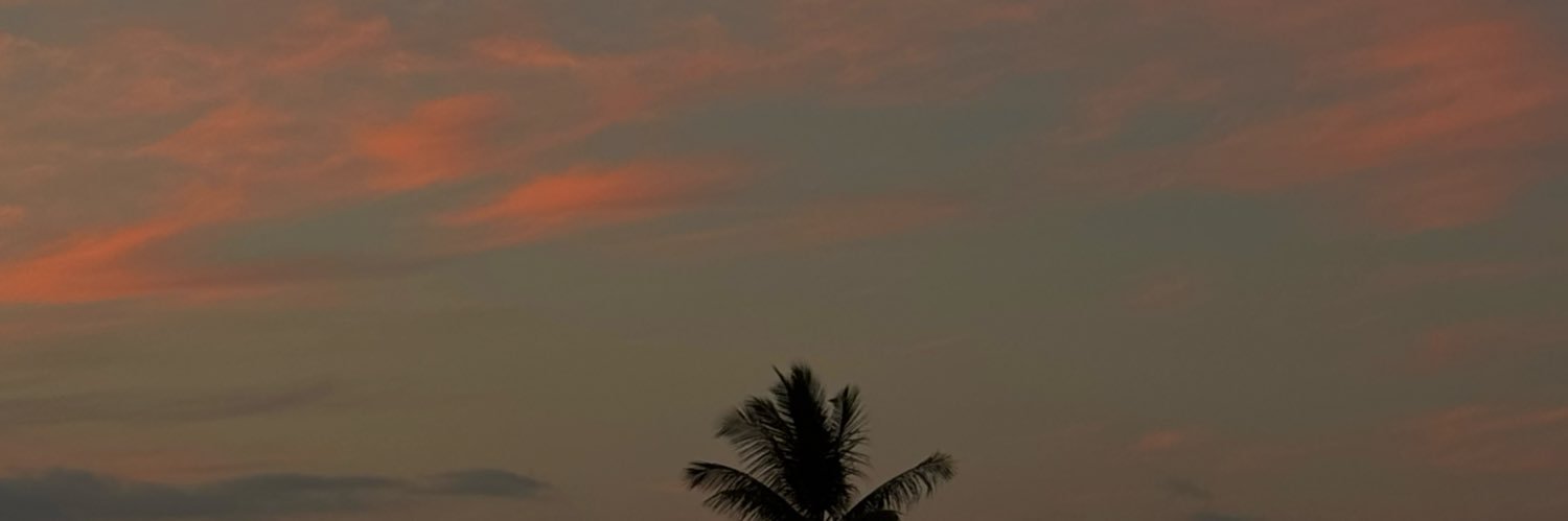 _diaaanne's profile banner image