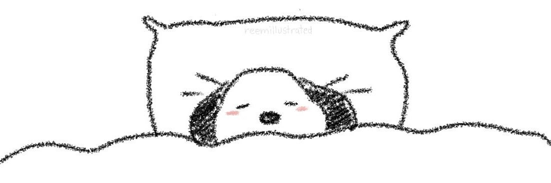 🌙💤 katsy banner