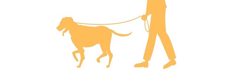 Cu bảy màu banner