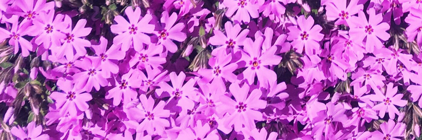 hlipps_'s profile banner image