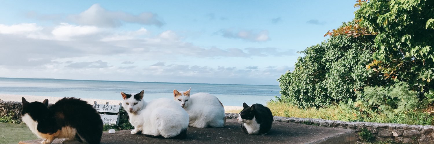 SH_LittleTooth's profile banner image