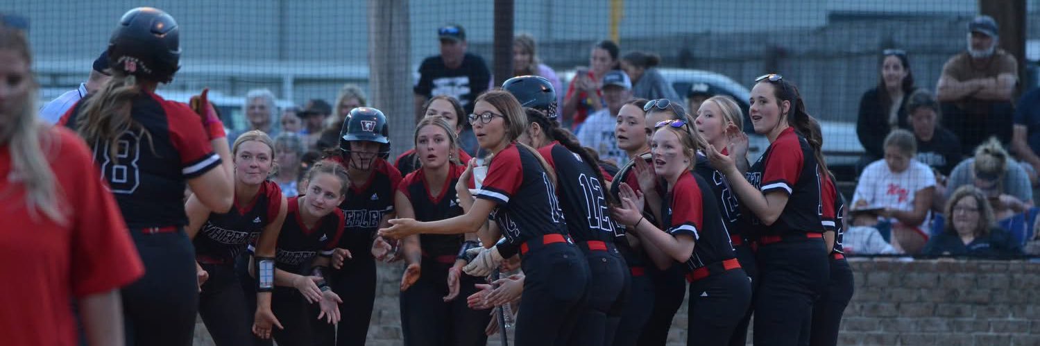 marli_kate_shockley banner