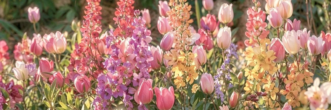 ˚˖𓍢ִ໋❀࣪ ּ ּ ֶ𓍼 banner