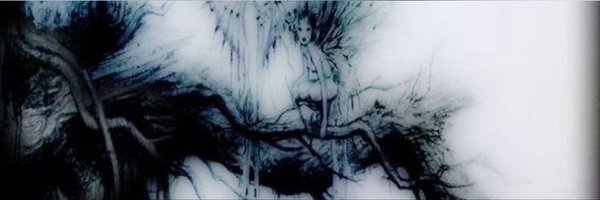 Z1rt__ Profile Banner