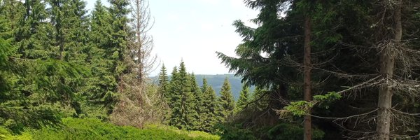 EquesNaturae Profile Banner