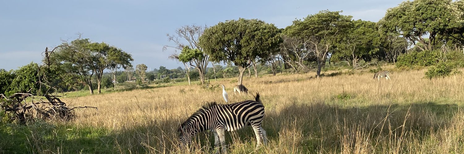 Councillor Mguni banner