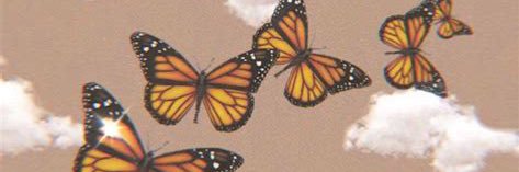 abitha24's profile banner image