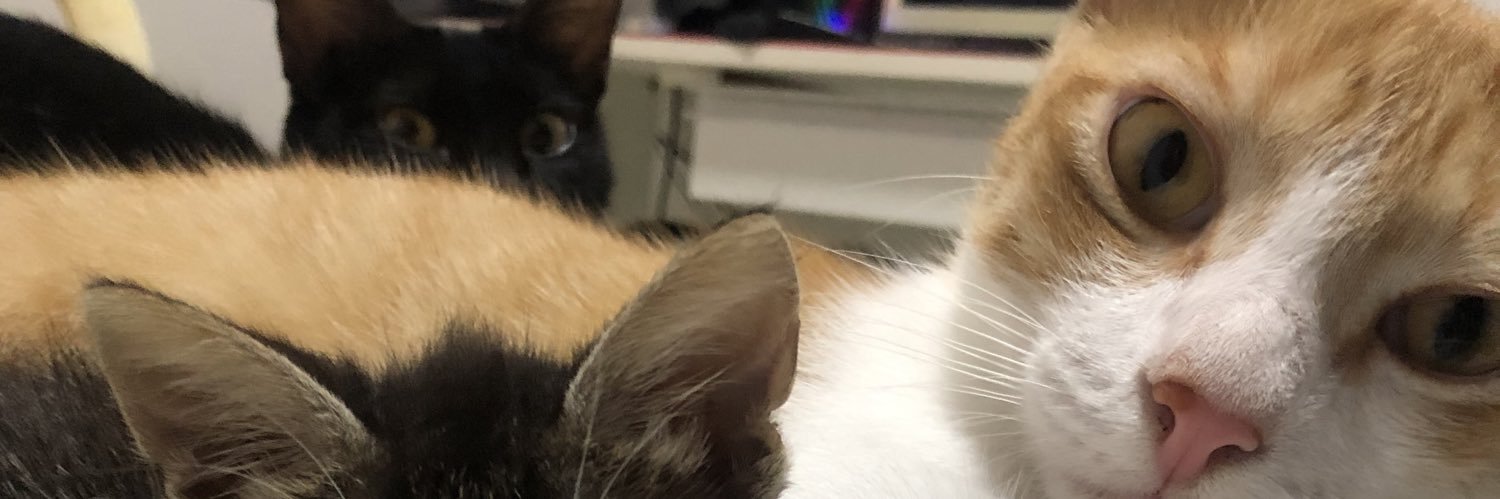 kalinhaaaaa's profile banner image