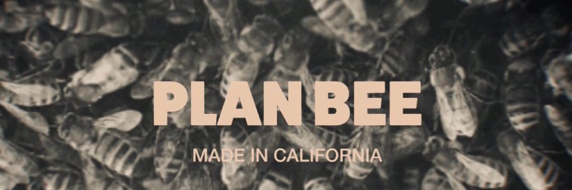 PlanBee 🐝✳️ banner